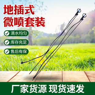 ΢�����b �ز�ʽ����΢���^���bë�ܲ�ƺ��ص��^�����F�� ΢���^