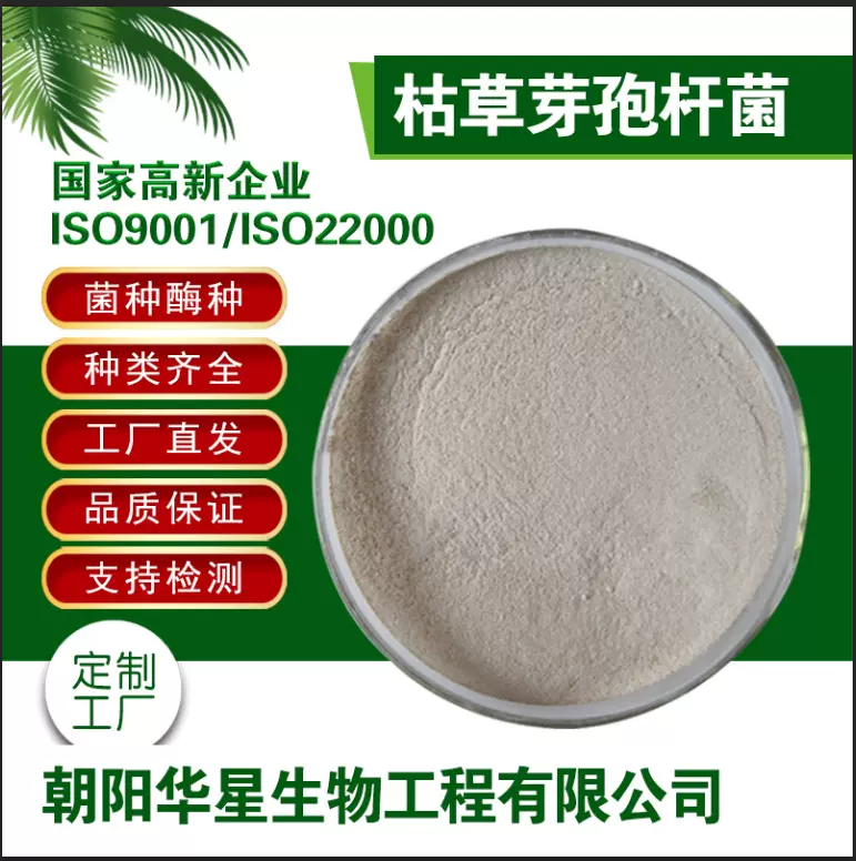 枯草芽孢杆菌1000亿2000亿水产净水改底农业种植饲用畜牧原菌粉