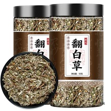 野生翻白草500克g新货材整颗切碎番白草另售苦丁一件起批一件起批