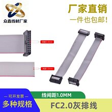 FC2.0�g����ž�JTAG��|10cm-1�����d�p�^ͬ��IDC1.0mm��6p-60P