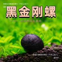 �ڽ����ݳ������^�p���坍�����ݲʵ����O���ݟᎧ�ݸך����ݳ���