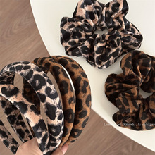 �z�q���y��ɫ��ˇ�l���͹ź��s�lȦ�l�K�^�����B픰l���¿�l�