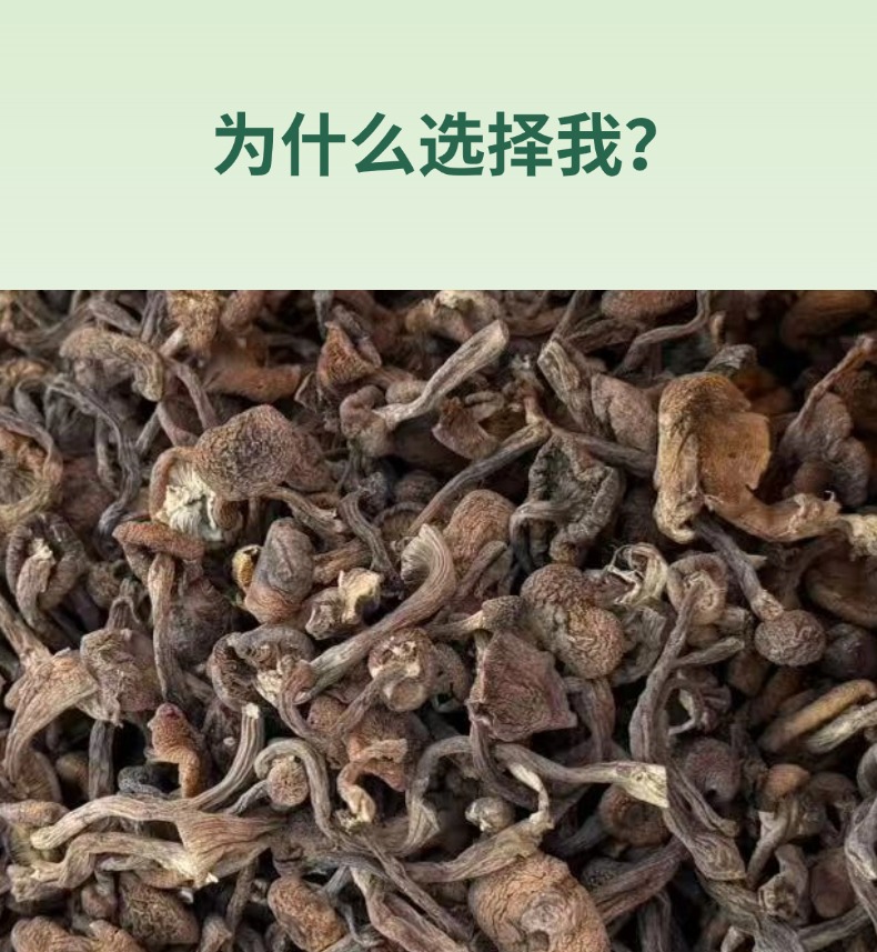 Dried Wild Hazelnut Mushroom Diced 500g Northeast China Dried Mushroom for Chicken Stew key features