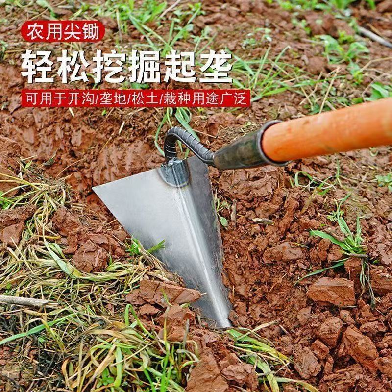 微信图片_202504011027021.jpg