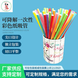 可降解一次性彩色加厚纸吸管食品级鸡尾酒创意装饰派对纸吸管