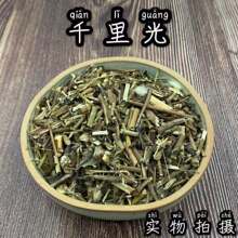 黄花母 黄花母品牌 图片 价格 黄花母批发 阿里巴巴