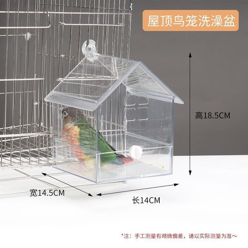 Tiger Skin Peony, Parrot, Bird Room, Bath Tub, Cool Bath, Bird Bath