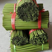 �׹��F�z���l���滨���˯ɏ�ɻ����տ����滨���U����Ƥ�܎��F�z