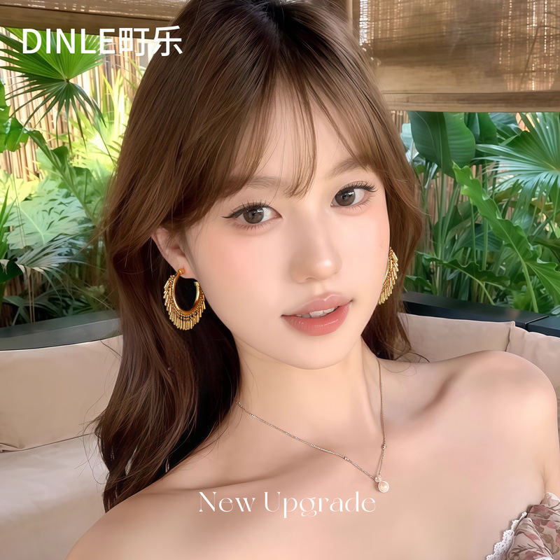 S925银针欧美夸张流苏耳环女高级感轻奢百搭简约气质耳圈耳饰批发|undefined