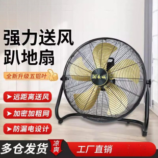 Industrial Fan Floor Fan Large Wind Floor Fan Home Restaurant Desktop Sitting and Crawling Floor Fan Formaldehyde Removal Wholesale
