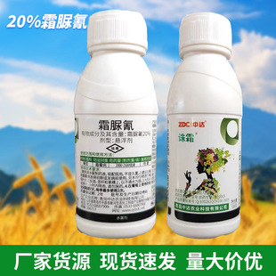 20%˪����Ҹ��������߲��S�ϟ���˪ù����ù��������500��