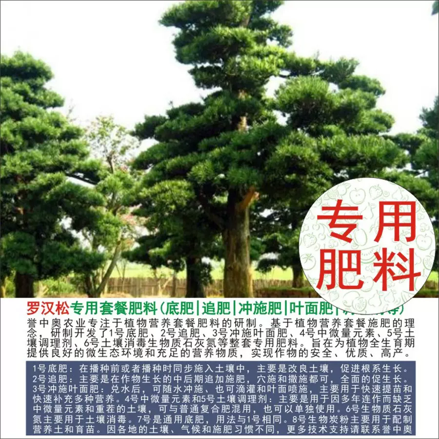 1-50斤誉中奥罗汉松专用有机肥复合肥底肥追肥叶面肥冲施肥水溶肥