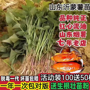 �t����ع������������������ϼt������������矟������Ʒ�N����