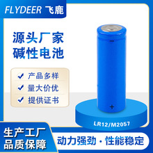 飞鹿LR12/M2057电池碱性电池1.5V电动牙刷电池玩具LED照明灯电池