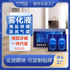 友倍康昇工場直売家庭用ミニネット加湿器清潔鼻腔緩和霧化器洗浄霧化液