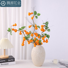 ���挍�� С���J�Ϲ��� �Ҿӿ͏dܛ�b��̱��W��c�����[���ٻ�