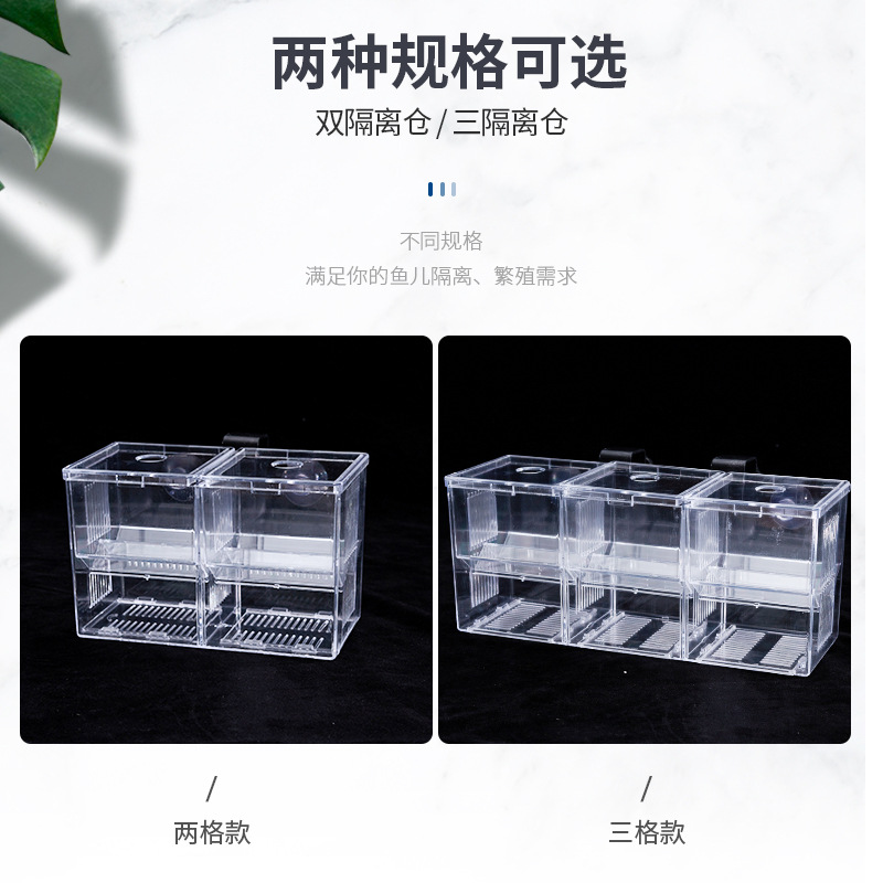 Caja de aislamiento de incubación tipo placa transparente caja de alimentación caja de incubadora Douyu caja gancho caja Madre y niño