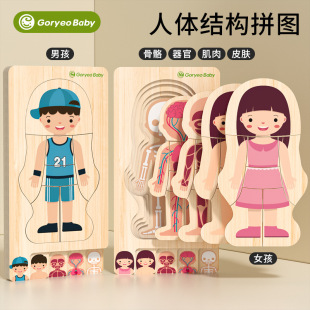 GoryeoBabyľ�ƶ���ƴ�DǶ����Ů�����w�Y��ƴ�D��ͯ����������