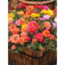 ذ̫ꖻNͥԺN׷NѴȫļN_