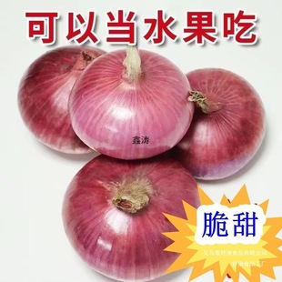 ���[���r��ζ��ˮ�������[�^5��Ƥ�tƤ�߲˴�A���[���lС����