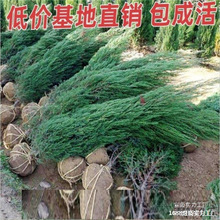 ؉ļɰؘǰСĹ^ֲGȰǰļ