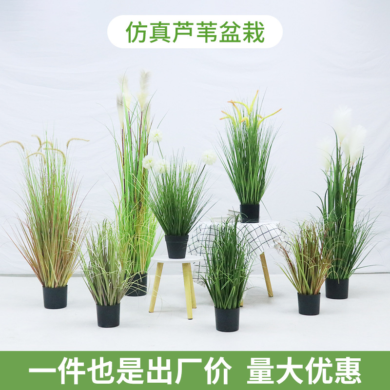 Simulated Reed Dogtail Onion Grass Large Plant Pottery Shop Window Floor Decoration Green Plant Pot