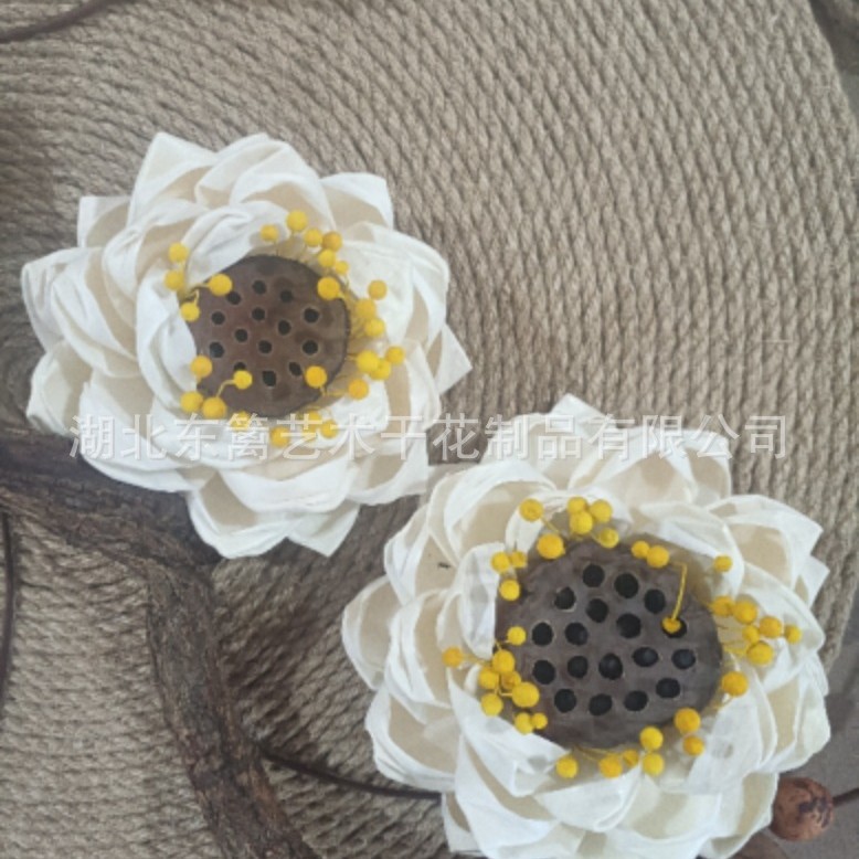 Lirio de agua planta fresca casa Café Bar tienda decoración del arte ramo flores secas loto Decoración