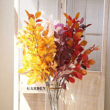 �����~ ɽë�� �����~��  ���Q�Ҿ��b�c���潁�~�� �����