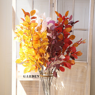 �����~ ɽë�� �����~��  ���Q�Ҿ��b�c���潁�~�� �����