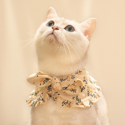 春夏季薄款通用小猫英伦风公主围脖圈布偶猫咪衣服可爱裙子小奶猫