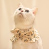 春夏季薄款通用小猫英伦风公主围脖圈布偶猫咪衣服可爱裙子小奶猫