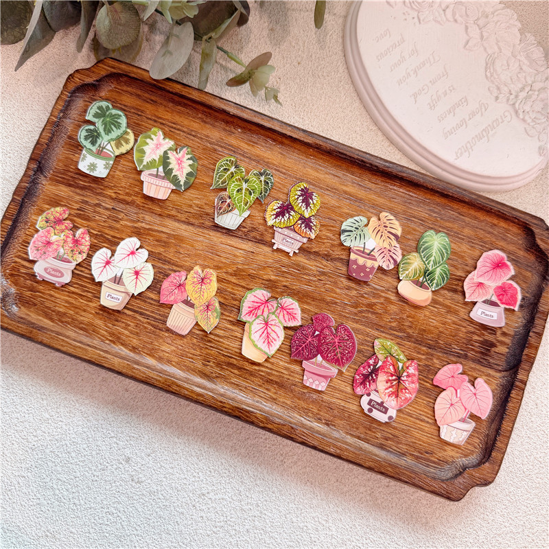 Autumn Begonia and Calathea Plant-Themed Decorative Pins, Educational Plant Pins, Gifts for Children and Friends, Souvenirs, Backpacks, Pencil Cases, Badges Autumn Begonia and Calathea Plant-Themed Decorative Pins, Educational Plant Pins, Gifts for Children and Friends, Souvenirs, Backpacks, Pencil Cases, Badges