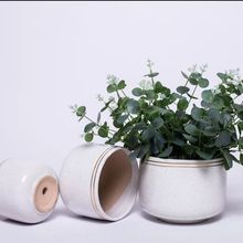 陶瓷带托盘创意欧式简约兰花绿萝多肉客厅大口径一件包邮工厂直销
