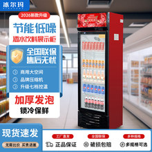 饮料展示柜商用冷藏冰柜保鲜双开门啤酒水柜冷饮三门立式单门冰箱
