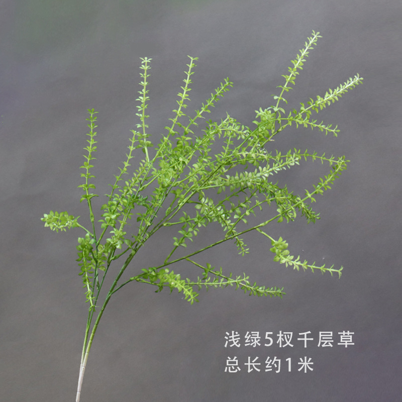 Hierba de mil capas verde claro