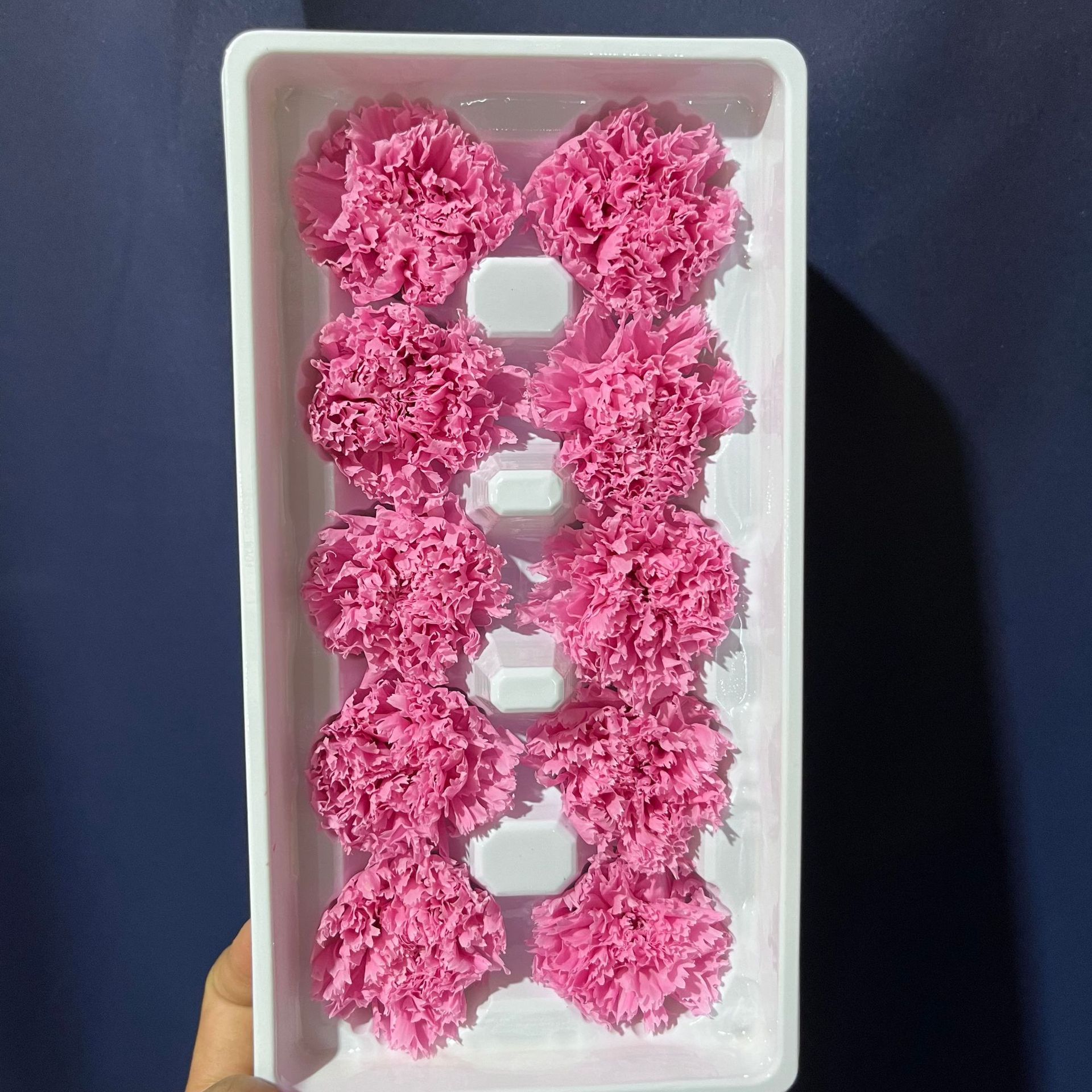 Cabezas de Claveles Preservadas A+, 4-5 cm, Paquete de 8, Arte Floral DIY, Caja de Regalo Educativa, Día de la Madre, Venta al por Mayor de Fábrica