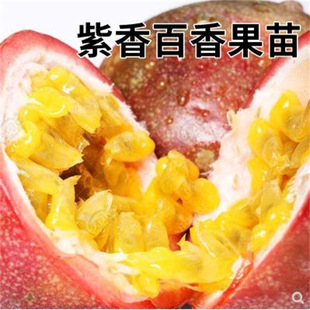 ̨�rһ̖������� �޽���J�S�������������ٹ��箔��Y��