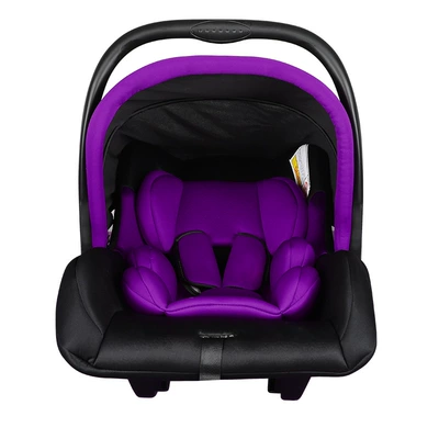 Basket Portable Car Seat — Car child safety seat