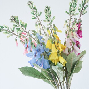 ����ë���S �bٻ��廨 ���Q���ڷ��滨 ���Sֱ�N ��Ȼ�쾰����