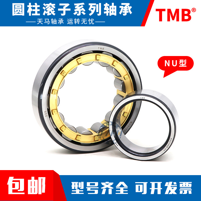 TMB天马 减速机轴承 RN205 RN206 RN307 RN308 RN309 RN312 222 M