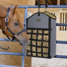 �羳���R�d�R�ݰ�����ɲ��ռ{�����ιʳţ�Rҹ�øɲ��ռ{��