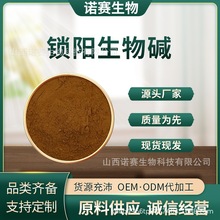 锁阳生物碱锁阳提取物 1kg/袋 食品级原料 诺赛生物 现货包邮