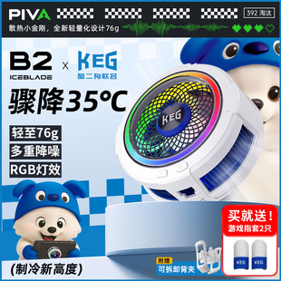 �����&����PIVA����KEG�֙Cɢ����B2�������A��������댧�w