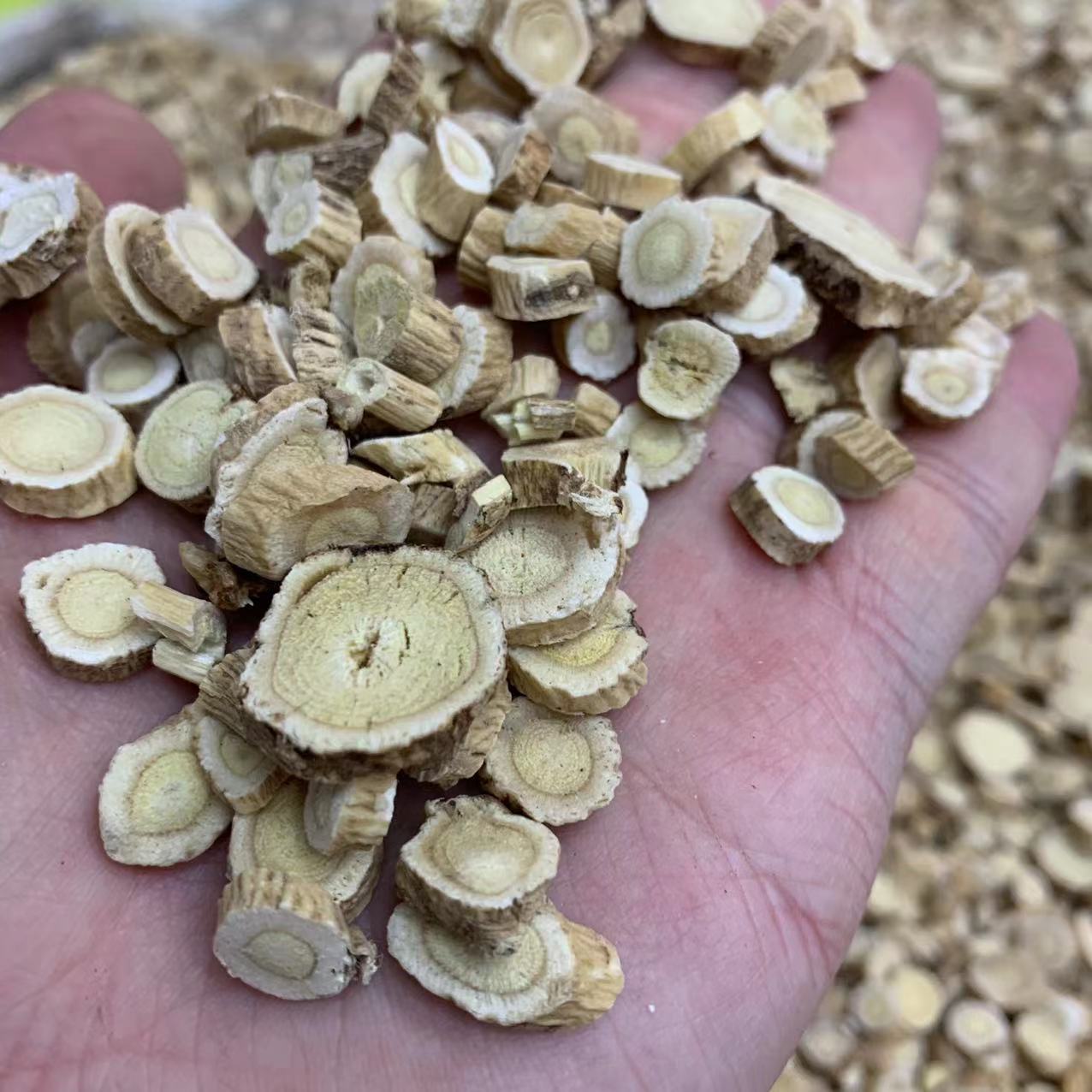 微信图片_20230214114332