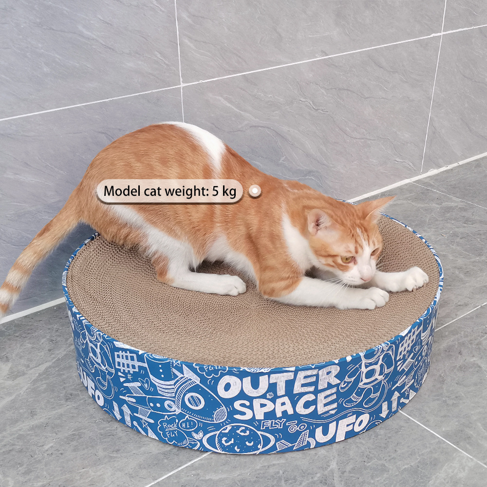 19b580e860ab3052fd1ba127e264dc