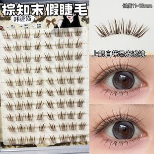 ���ǷՇ��У���֪ĩ�ٽ�ëŮ��Ȼ��͸���z��ɫ�۽�ë�������]�δ�