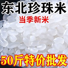 东北大米2025年新米50斤装一袋珍珠米便宜20斤粳米商用批qiju中国
