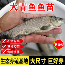 ���~����ͻ��w��ˮ�Bֳʳ�ú������~���^�p���I���~�ݽz���~�~��