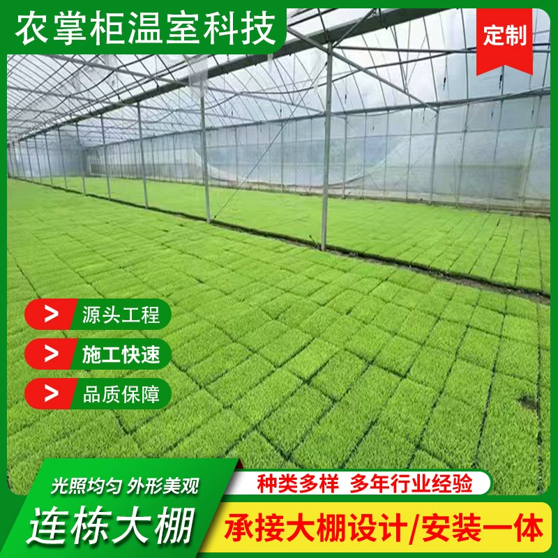Поставка сельскохозяйственной интеллектуальной теплицы для рассады, многопролетной теплицы, 1inch полугальванизированных труб, себестоимость производства и строительства теплицы.