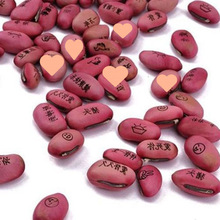 ���֐���ħ��DIY�Nֲ����ף����ͯ����ֲ���С��������С����